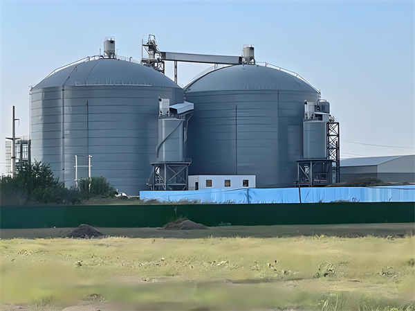 南阳钢板仓建造施工方案详解